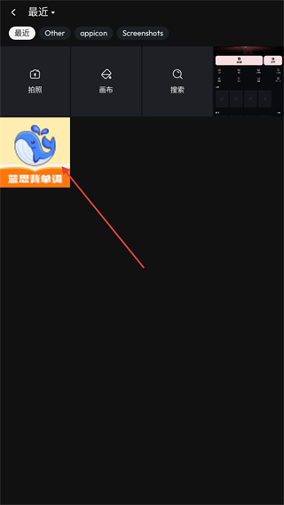专业照片编辑器