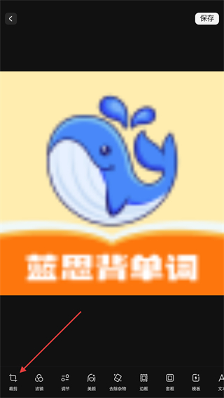 专业照片编辑器