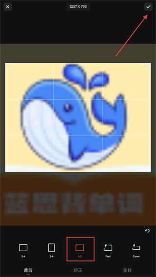专业照片编辑器