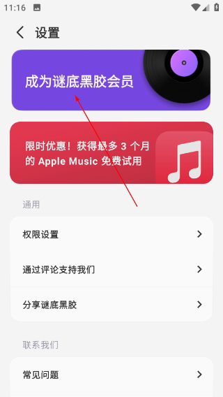谜底黑胶官方正版