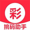 挑码助手神器