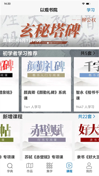 以观书法截图3