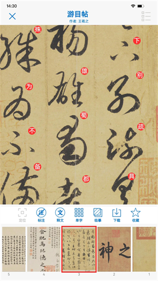 以观书法截图4