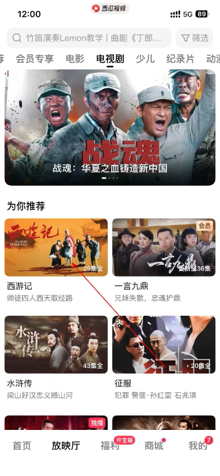 西瓜视频极速版