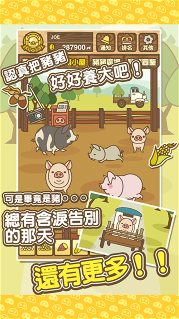 养猪场MIX截图4