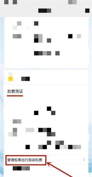松果出行