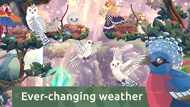 Bird Kind截图4