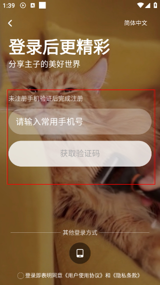 友猫