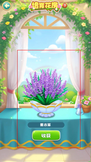 动物花店