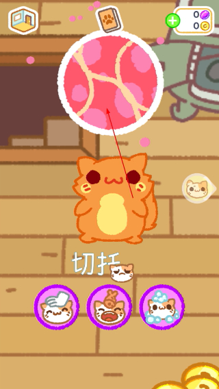 小偷猫2