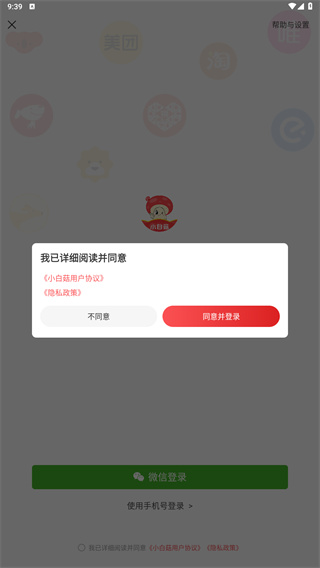 小白菇
