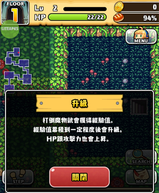 Labyrinth of the Witch