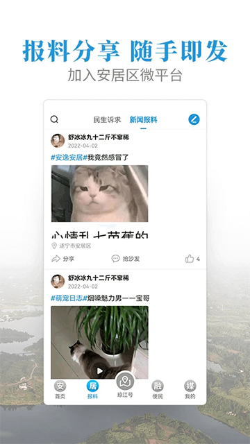 安居融媒截图4