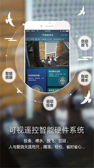 爱鸽者截图3