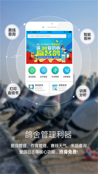 爱鸽者截图4