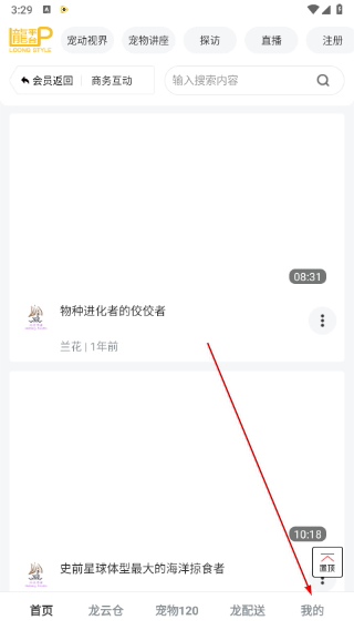 龙平台影视