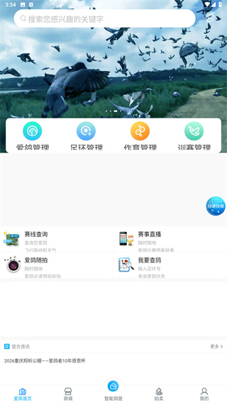 爱鸽者