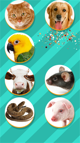Pet Translator(动物语言翻译器)截图4