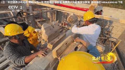 小鸟TV官方免费截图2
