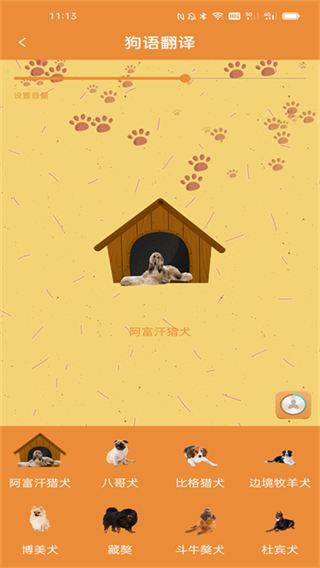 宠物猫狗翻译器截图4