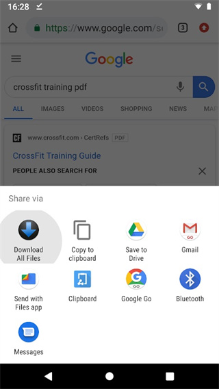 Download All Files
