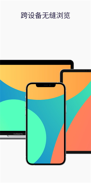 FireFox截图3