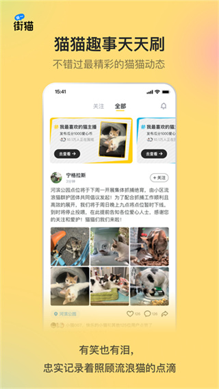 街猫截图1