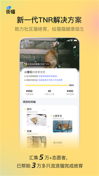 街猫截图4