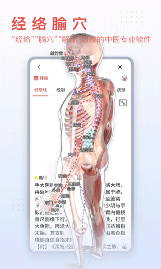 3dbody人体解剖学截图4