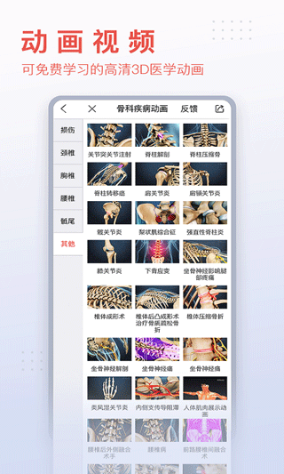 3dbody人体解剖学截图3