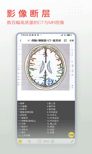 3dbody人体解剖学截图1