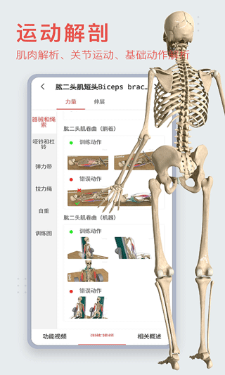 3dbody人体解剖学截图5