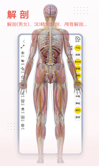 3dbody人体解剖学截图2