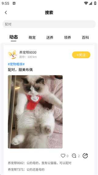 养宠帮