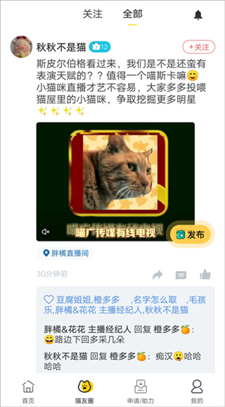 街猫