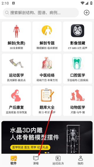 3dbody人体解剖学