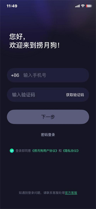 捞月狗