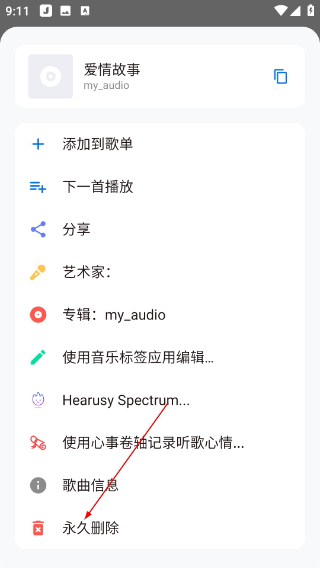 Salt Player下载