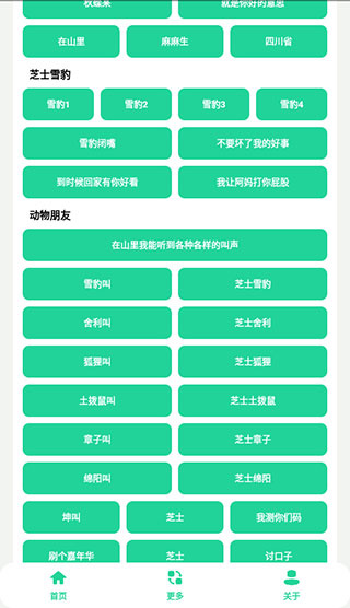 丁真盒app截图1