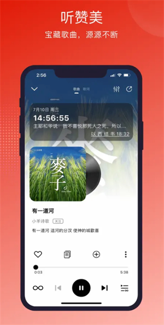 灵听音乐截图6