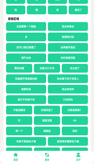 丁真盒app