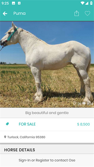 PonyPlace