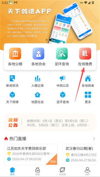 中鸽网