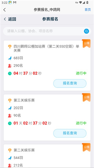 中鸽网