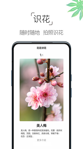 养花大全截图1