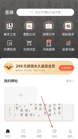 墨趣书法
