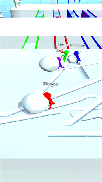 Snow Race截图5