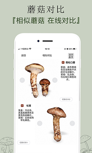 菌窝子截图4