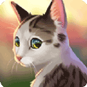 Cat Rescue Story