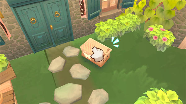 Cat Rescue Story
